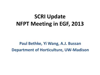 NFPT Meeting in EGF, 2013  Paul Bethke, Yi Wang, A.J. Bussan  Department of Horticulture,