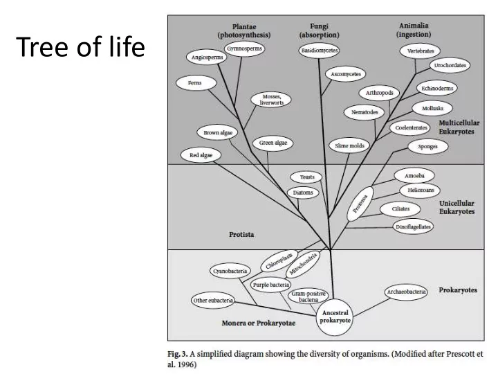 tree of life microbial diversity nutritional diversity