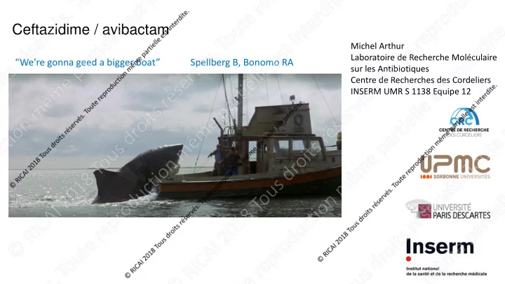 ceftazidime avibactam