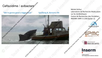 Ceftazidime / avibactam  Michel Arthur  Laboratoire de Recherche Molculaire We're gonna geed a