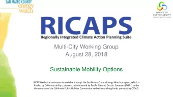 Multi-City Working Group  August 28, 2018  Sustainable Mobility Options  RICAPS technical