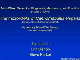 The microRNAs of Caenorhabditis elegans (Lim et al . Genes &amp; Development 2003)  Vertebrate