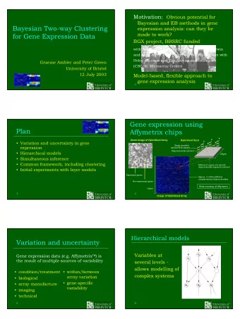 Bayesian Two-way Clustering  expression analysis: can they be  made to work?  for Gene Expression