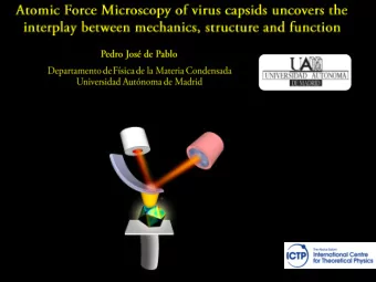 Viruses  X-ray, EM  structure  function  structure  function  properties  thermal stability