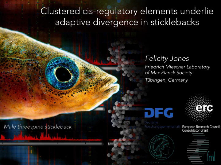 clustered cis regulatory elements underlie adaptive