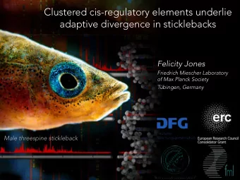 Clustered cis-regulatory elements underlie  adaptive divergence in sticklebacks  Felicity Jones