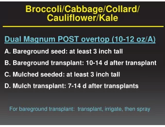 Cauliflower/Kale  Dual Magnum POST overtop (10-12 oz/A)  A. Bareground seed: at least 3 inch tall