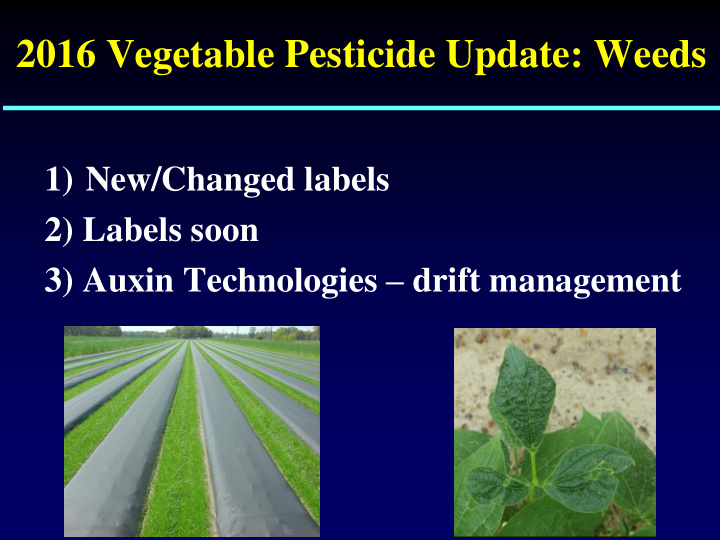 2016 vegetable pesticide update weeds