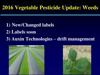 2016 Vegetable Pesticide Update: Weeds  1) New/Changed labels  2) Labels soon 3) Auxin Technologies