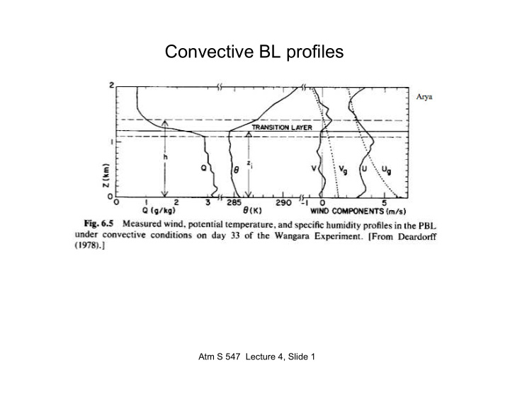 convective bl profiles