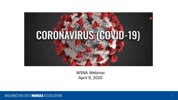 wsna webinar