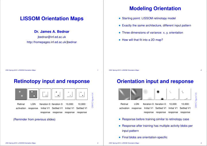 modeling orientation lissom orientation maps