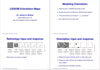 Modeling Orientation  LISSOM Orientation Maps  Starting point: LISSOM retinotopy model