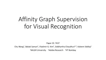 Affinity Graph Supervision  for Visual Recognition  Paper ID: 7437 Chu Wang 1 , Babak Samari 1 ,