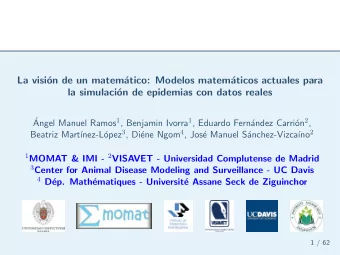 La visi  on de un matem  atico: Modelos matem  aticos actuales para  la simulaci  on de