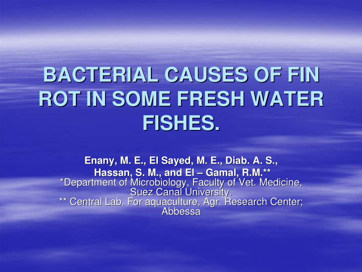 bacterial causes of fin bacterial causes of fin rot in