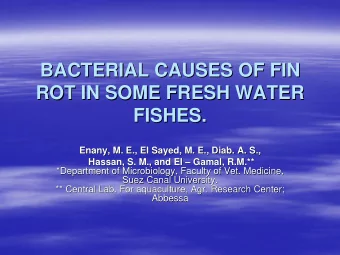 BACTERIAL CAUSES OF FIN  BACTERIAL CAUSES OF FIN  ROT IN SOME FRESH WATER  ROT IN SOME FRESH WATER