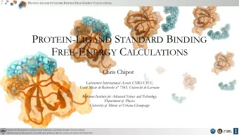 P ROTEIN -L IGAND S TANDARD B INDING F REE -E NERGY C ALCULATIONS  Chris Chipot  Laboratoire