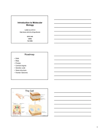 Roadmap   DNA   RNA   Protein   Central dogma   Genetic code   Gene structure