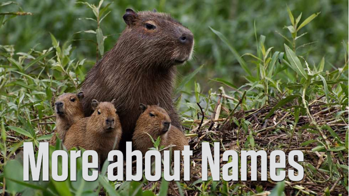 more about names measuring heterogeneity
