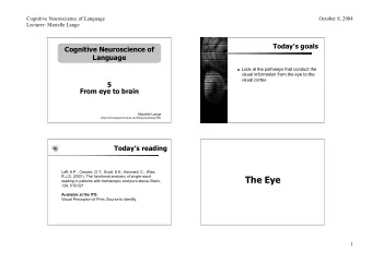 The Eye  R.J.S. (2001). The functional anatomy of single-word  reading in patients with hemianopic