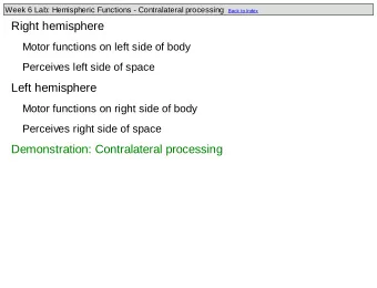 Right hemisphere  Motor functions on left side of body  Perceives left side of space  Left