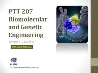 PTT 207  Biomolecular  and Genetic  Engineering  Semester 1 2012/2013  BY: PUAN NURUL AIN HARMIZA