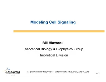 Modeling Cell Signaling  Bill Hlavacek  Theoretical Biology &amp; Biophysics Group  Theoretical