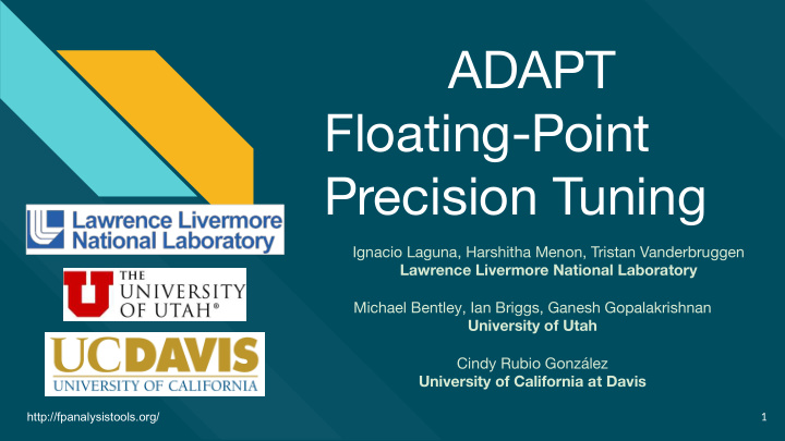 adapt floating point precision tuning