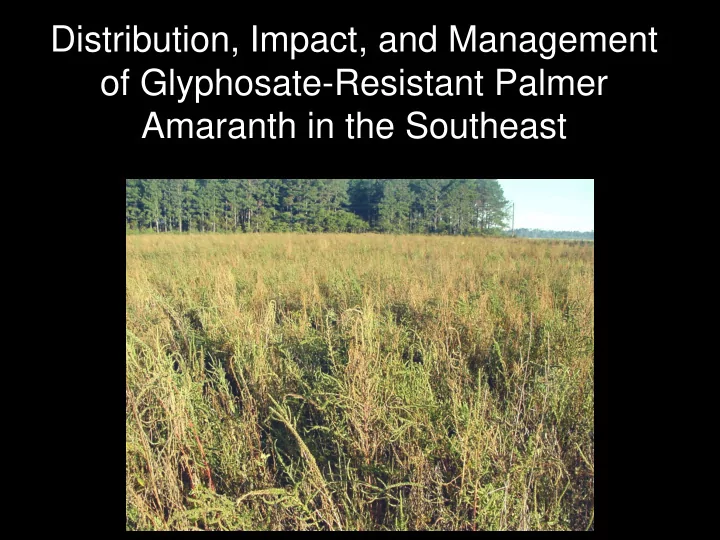 of glyphosate resistant palmer