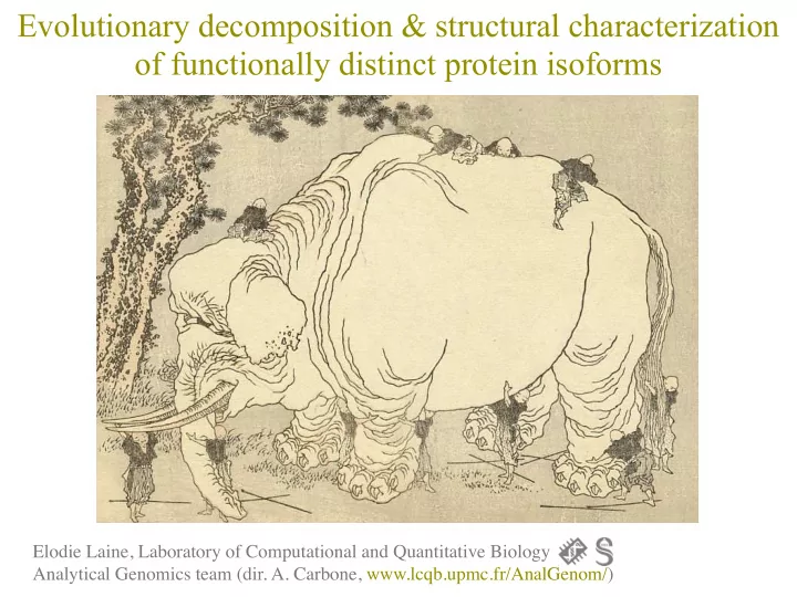 evolutionary decomposition structural characterization of