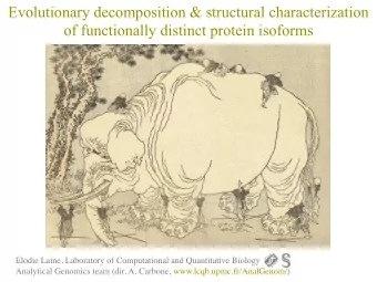 Evolutionary decomposition &amp; structural characterization  of functionally distinct protein
