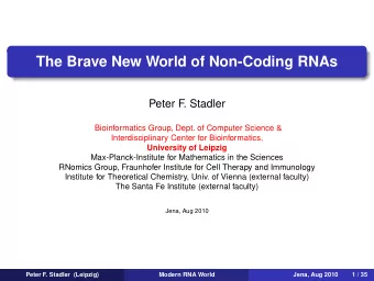 The Brave New World of Non-Coding RNAs  Peter F. Stadler  Bioinformatics Group, Dept. of Computer