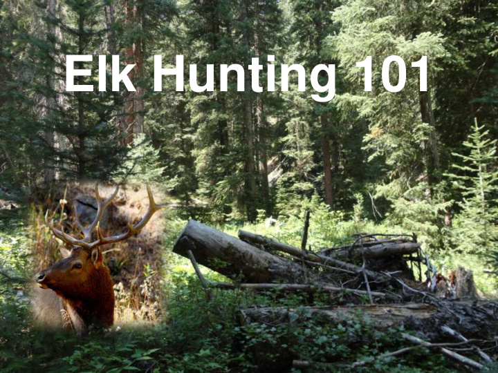 elk hunting 101 rules and requests