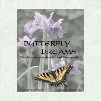 Contents  Introduction  IV  Spring  1  Spring Commentary  138  Summer  32  Summer Commentary  154