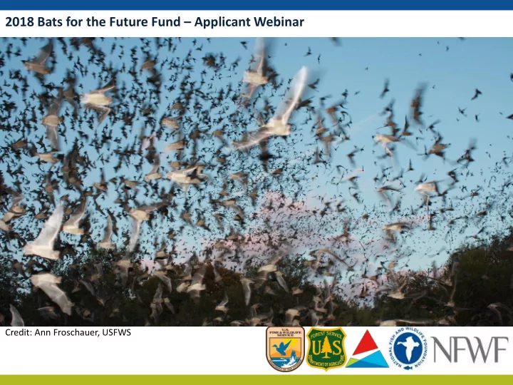 2018 bats for the future fund applicant webinar