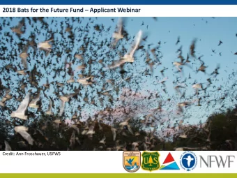 2018 Bats for the Future Fund  Applicant Webinar  Credit: Ann Froschauer, USFWS