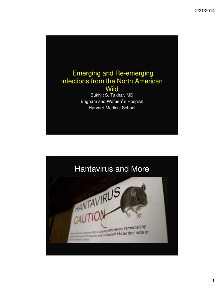 hantavirus and more