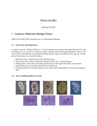 MolecularBio  January 28, 2020  1  Lecture 6: Molecular Biology Primer  CBIO (CSCI) 4835/6835: