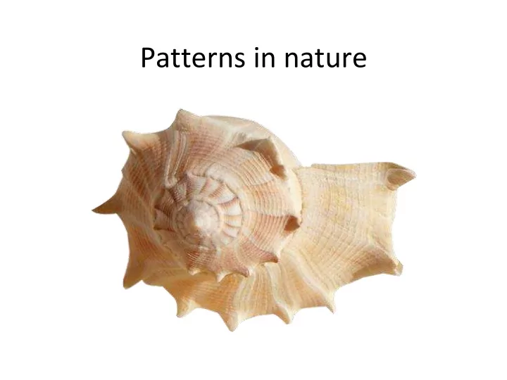 patterns in nature