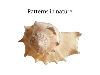 Patterns in nature  Patterns associated  with function  Not exactly the same  Signal Peptide