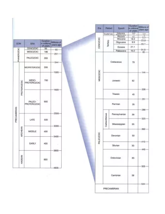 Oldest Microfossils on Earth?  Warrawoona  Group, N. Pole  Dome/ Marble  Bar, WA;  3.5 Ga  Lowe