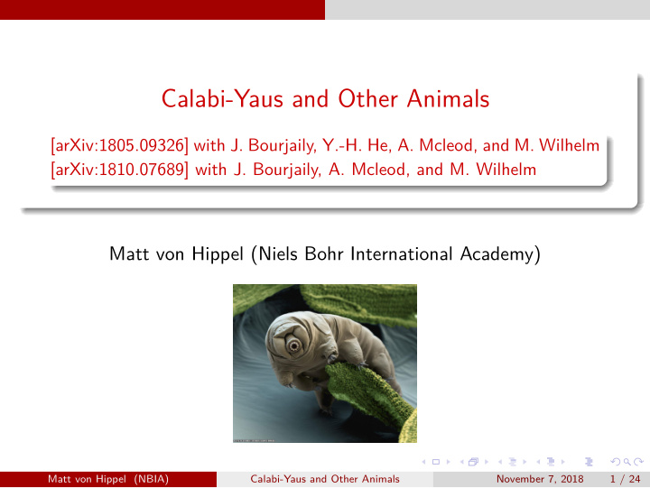 calabi yaus and other animals