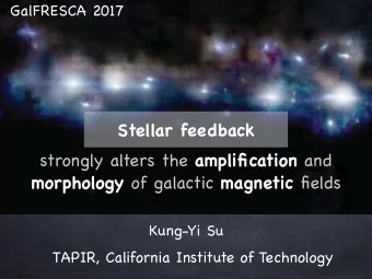 Stellar feedback strongly alters the amplification and morphology of galactic magnetic fields