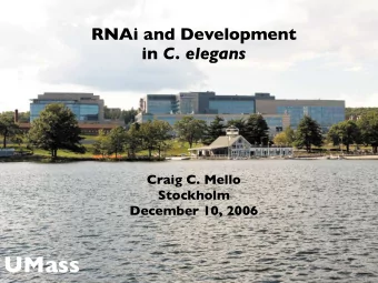 UMass  Caenorhabditis elegans Bob Goldstei !  Sydney Brenner  David Hirsh  Bob Horvitz  John