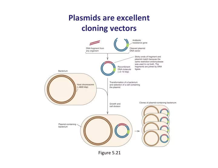 plasmids are excellent cloning vectors