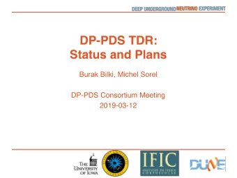 DP-PDS TDR:  Status and Plans  Burak Bilki, Michel Sorel  DP-PDS Consortium Meeting  2019-03-12