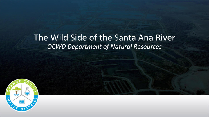 the wild side of the santa ana river