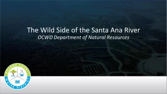The Wild Side of the Santa Ana River  OCWD Department of Natural Resources  Outline