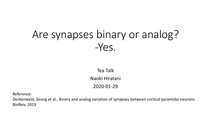 are synapses binary or analog yes